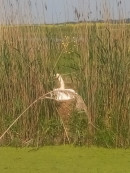 IMG_20170508_162108 (Copier)