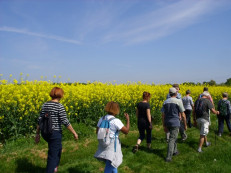 SS853316 - Copie (Copier)