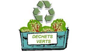 Que faire de vos déchets verts ?