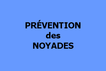 Vous tenez à eux, ne les quittez pas des yeux !
