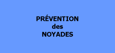 Vous tenez à eux, ne les quittez pas des yeux !