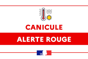 🚨 VIGILANCE ROUGE CANICULE 🚨