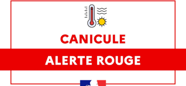 🚨 VIGILANCE ROUGE CANICULE 🚨